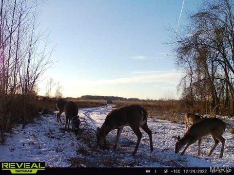 Tiny photo for 0 Highway 51, Dudley, MO 63841 (MLS # 26012510)