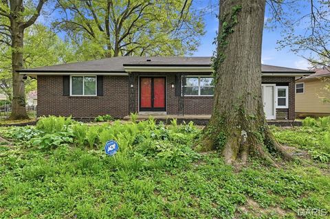 Photo of 848 Cordova Street, St Louis, MO 63138 (MLS # 26022715)