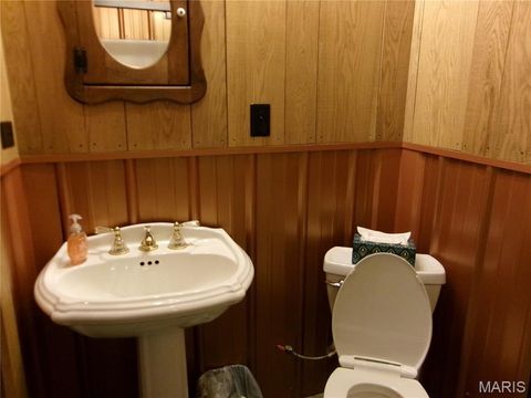 Tiny photo for 19496 Pike 308, Bowling Green, MO 63334 (MLS # 25057245)