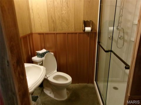 Tiny photo for 19496 Pike 308, Bowling Green, MO 63334 (MLS # 25057245)