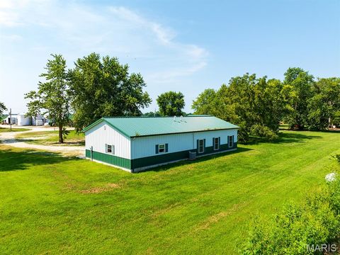 Tiny photo for 19496 Pike 308, Bowling Green, MO 63334 (MLS # 25057245)