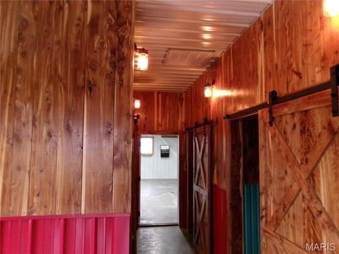 Tiny photo for 19496 Pike 308, Bowling Green, MO 63334 (MLS # 25057245)