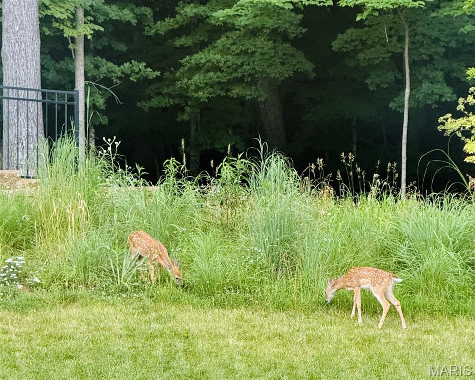 Windswept Farms Two - Residential