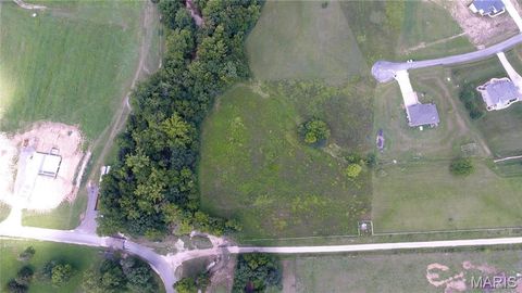 Tiny photo for 26 Gallant Dr Or 11 Sassfrass, Troy, MO 63379 (MLS # 24003276)