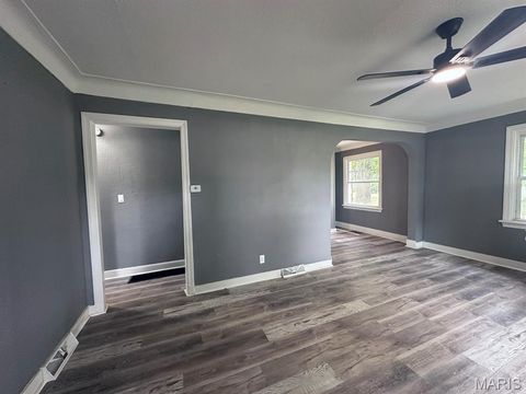 Tiny photo for 315 S Park Lane, Dexter, MO 63841 (MLS # 26031109)