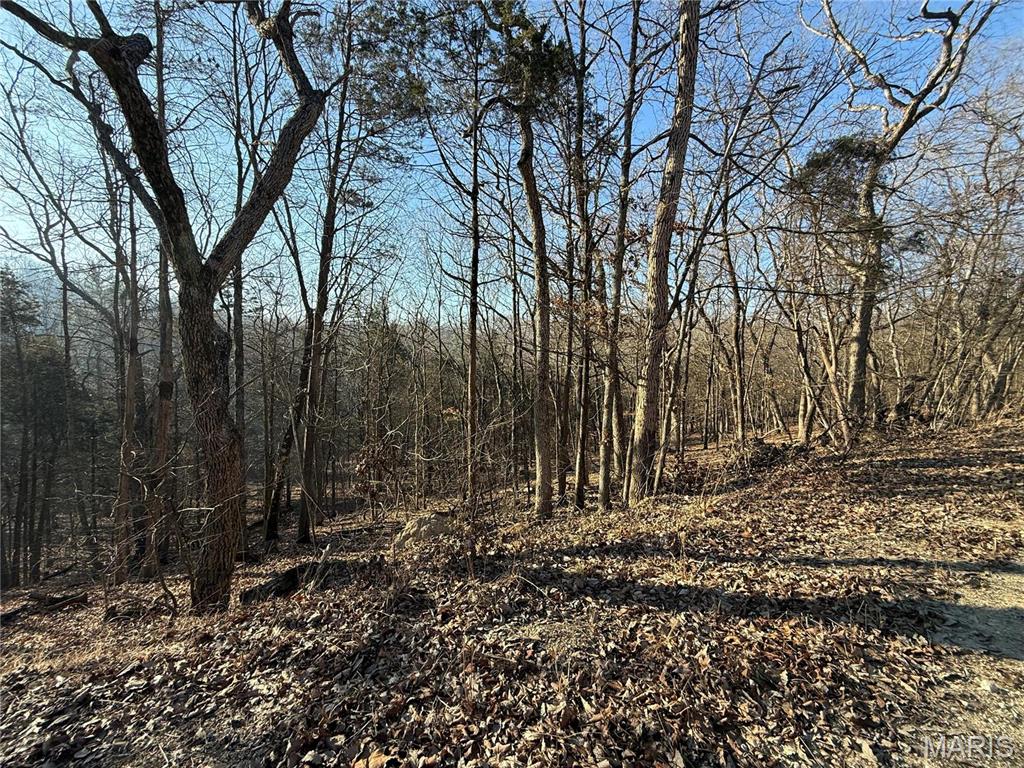 0 Lot 21 Timber Ridge Estates