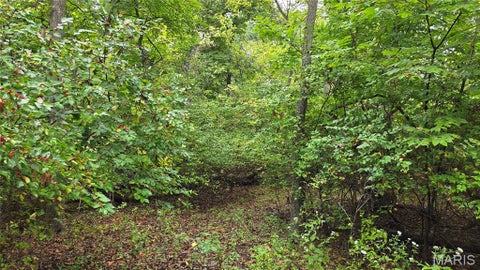 Tiny photo for 112 Hunters Hollow Lane, Foley, MO 63347 (MLS # 26061955)