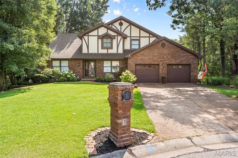 Photo of 7 Linden Court, Collinsville, IL 62234 (MLS # 26046198)