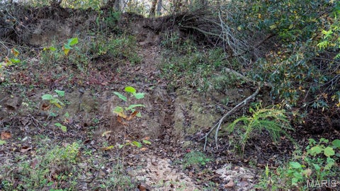 Tiny photo for 14398 County Road 4100, Rolla, MO 65401 (MLS # 26068584)