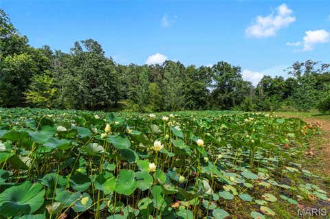 Tiny photo for 9536 Three Oaks Ln LN, Bloomsdale, MO 63627 (MLS # 26040045)
