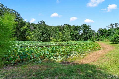 Tiny photo for 9536 Three Oaks Ln LN, Bloomsdale, MO 63627 (MLS # 26040045)