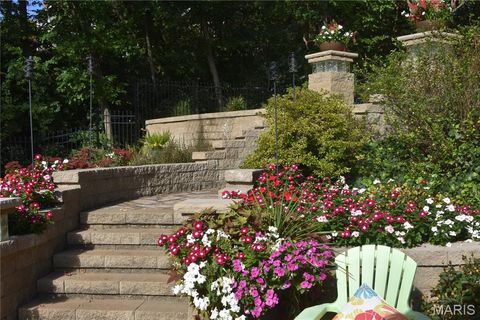 Tiny photo for 1685 Ansonborough Drive, Chesterfield, MO 63017 (MLS # 25063174)