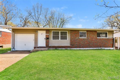 1117 Morning Star Lane Cottleville MO 63376
