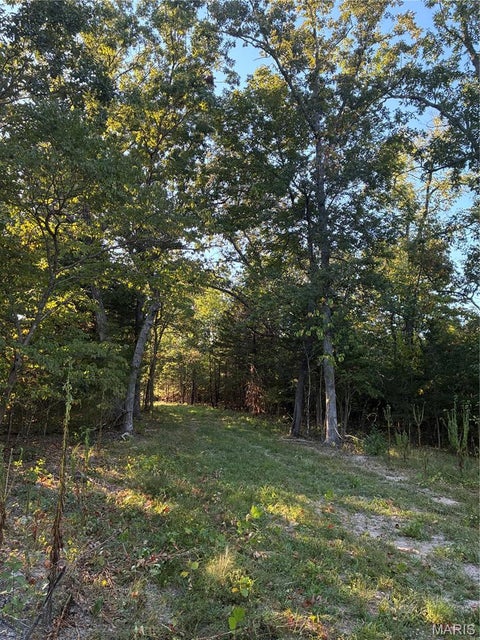 Tiny photo for 0 Lot H Armadillo Lane, Sullivan, MO 63080 (MLS # 26059014)