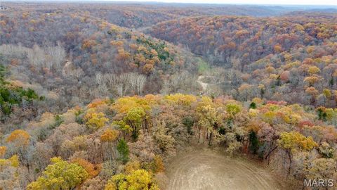 Tiny photo for 12 Polston Ln, Marthasville, MO 63357 (MLS # 25077499)