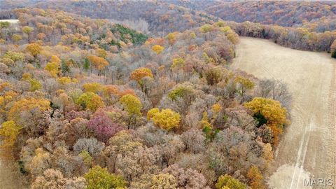 Tiny photo for 12 Polston Ln, Marthasville, MO 63357 (MLS # 25077499)