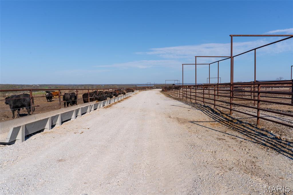 N/A - Farm