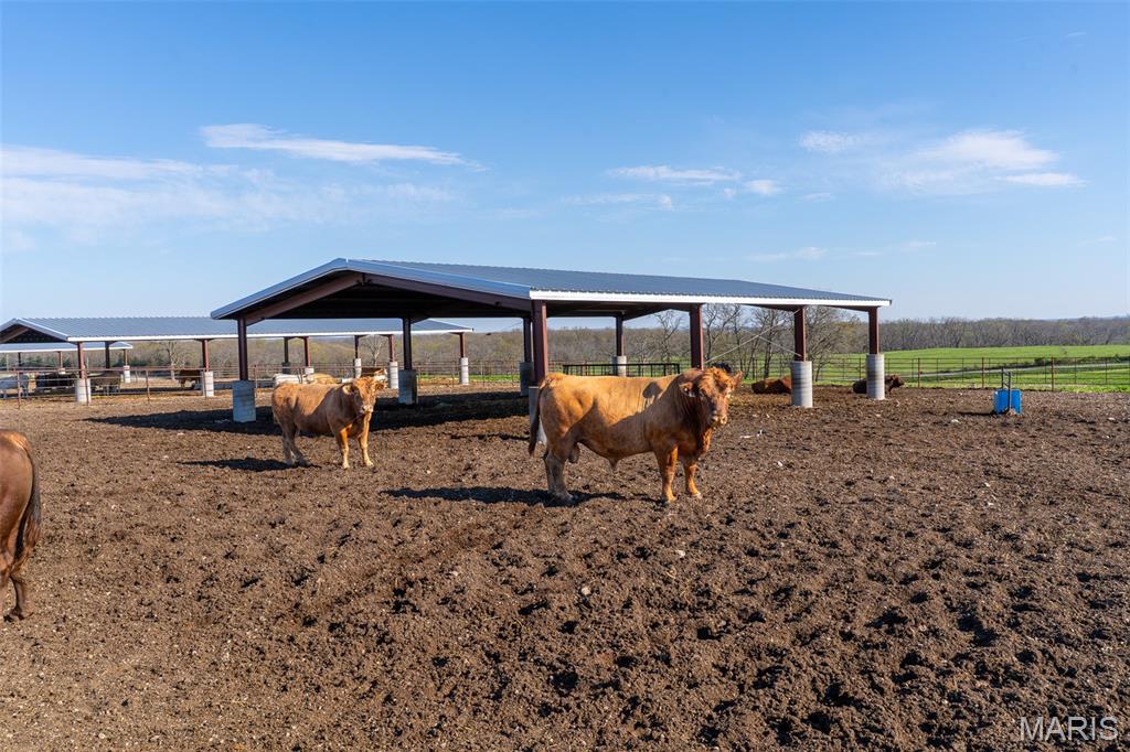 N/A - Farm