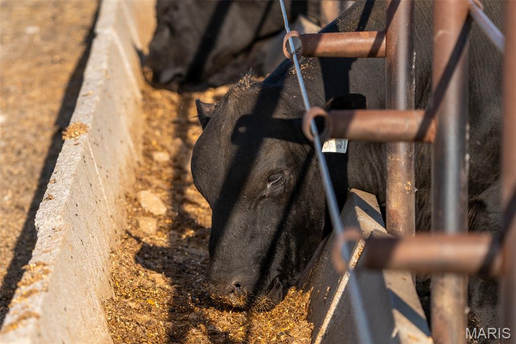 N/A - Farm