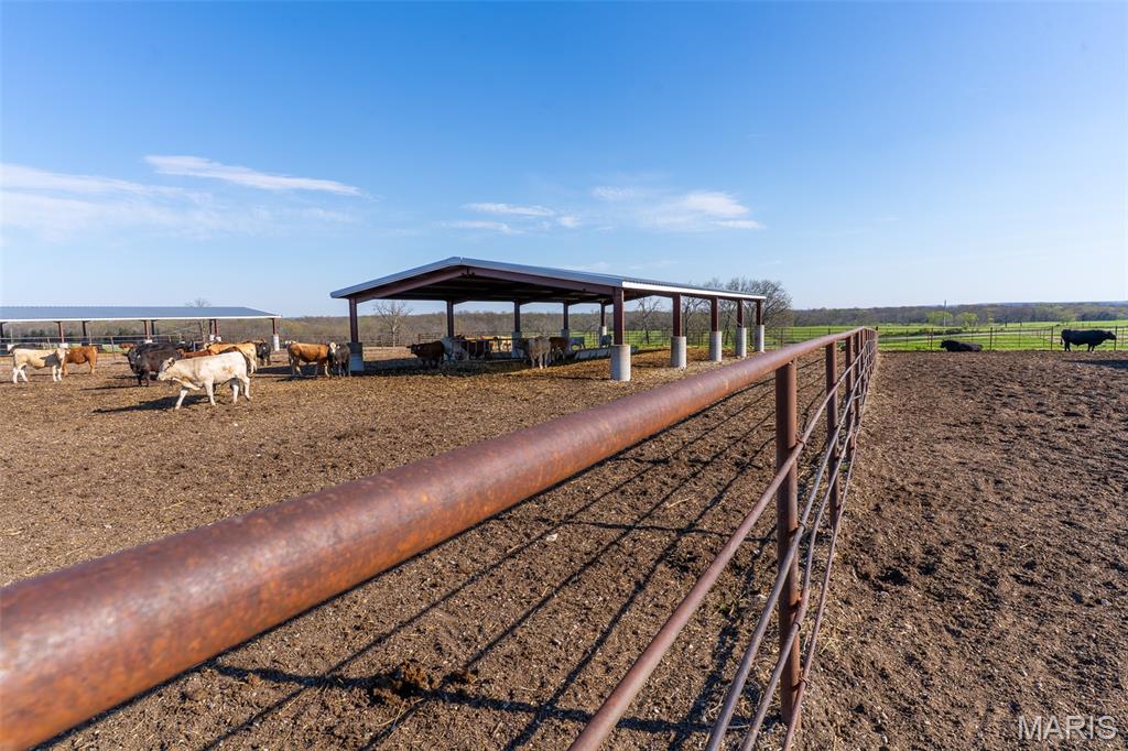 N/A - Farm