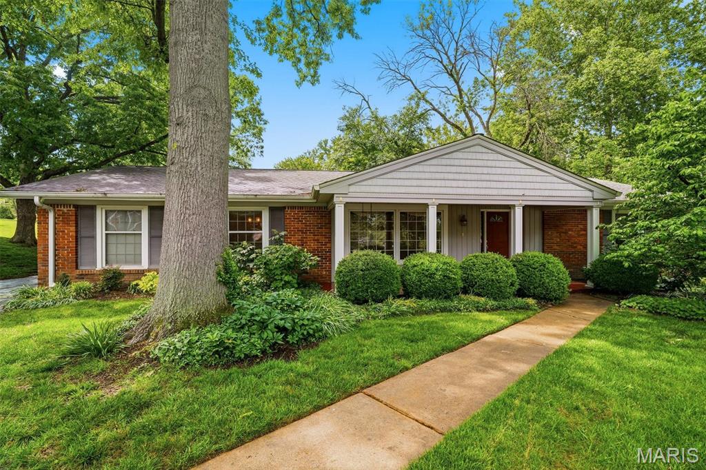 259 White Tree Lane