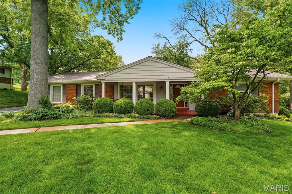 259 White Tree Lane