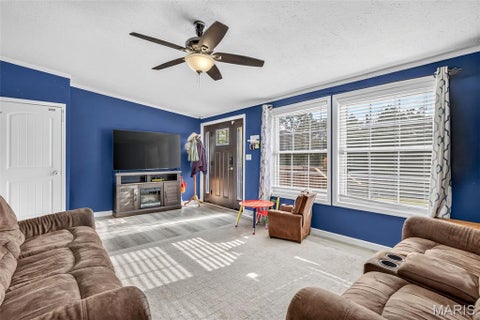 Tiny photo for 13740 Plattin School Road, Festus, MO 63028 (MLS # 26068378)