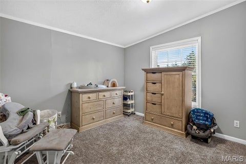 Tiny photo for 13740 Plattin School Road, Festus, MO 63028 (MLS # 26068378)