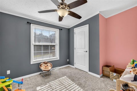 Tiny photo for 13740 Plattin School Road, Festus, MO 63028 (MLS # 26068378)
