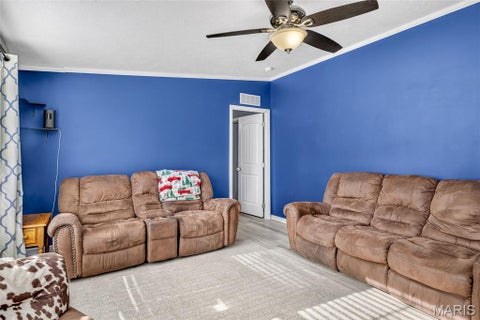 Tiny photo for 13740 Plattin School Road, Festus, MO 63028 (MLS # 26068378)