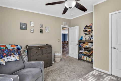 Tiny photo for 13740 Plattin School Road, Festus, MO 63028 (MLS # 26068378)