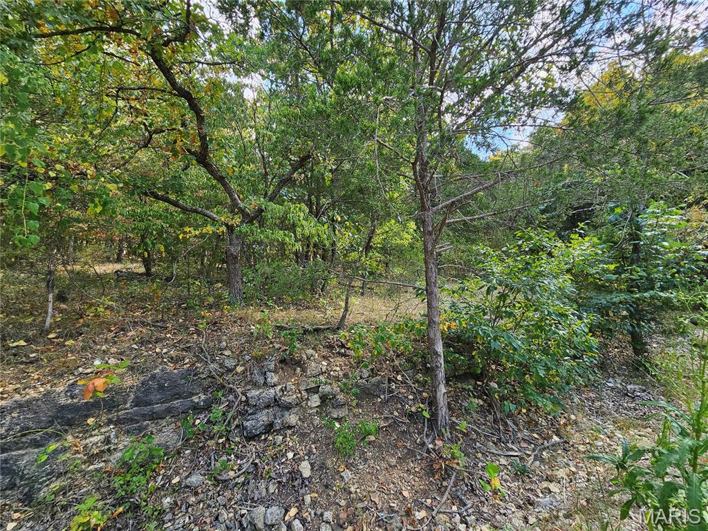 Raintree Plantation Sec 23 - Land