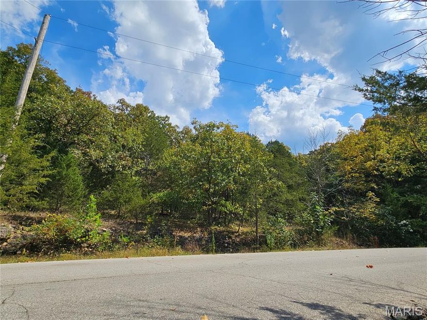 Welcome to 10020 Waterford Drive, in the highly desired Raintree Plantation. Great price for a quiet and private feel of the neighborhood, while having the lake views along the street! This is an opportunity to build your dream home in this gated and private neighborhood! Enjoy access to the private lake, beach, golf course, clubhouse, yearly activities, and amenities this neighborhood has to offer! Please reach out to the Raintree office to obtain a copy of the rules/indentures/land usage rights. Buyer to verify schools for accuracy. Buyer to get survey to determine exact boundary lines. This lot is a great value for the neighborhood! Schedule to see this in person!

Please note that the HOA fee is annual, but there is a secondary fee for the country club social membership. Reach out to Raintree for those membership levels and costs.