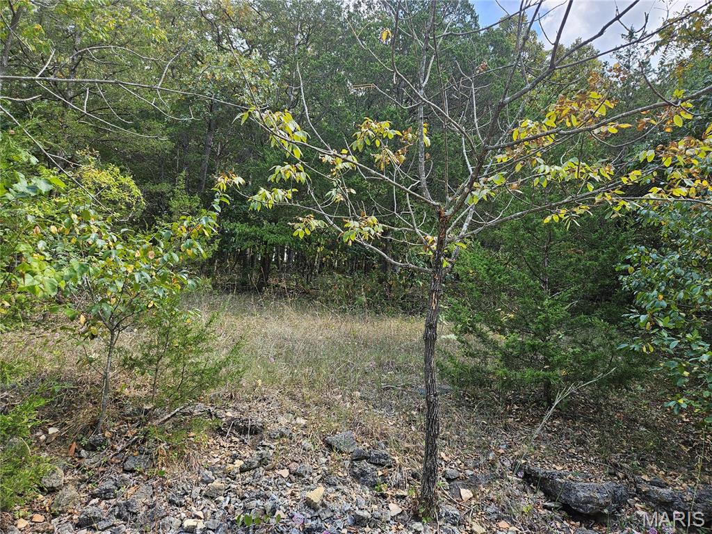 Raintree Plantation Sec 23 - Land