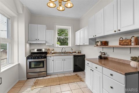 Tiny photo for 4230 S 37th Street, St Louis, MO 63116 (MLS # 26026406)