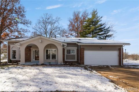 1203 Beaver Creek Road Chesterfield MO 63017