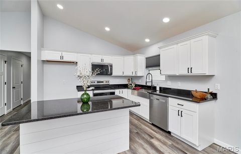 Tiny photo for 501 Gaw Court, Bowling Green, MO 63334 (MLS # 26000907)