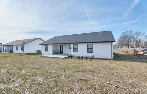 Tiny photo for 501 Gaw Court, Bowling Green, MO 63334 (MLS # 26000907)