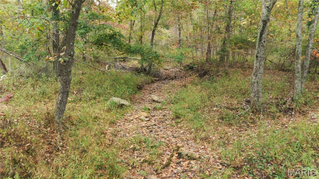 Martin Rd Farms - Farm