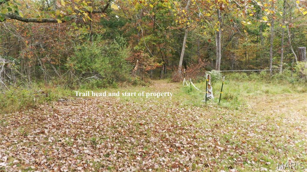 Martin Rd Farms - Farm