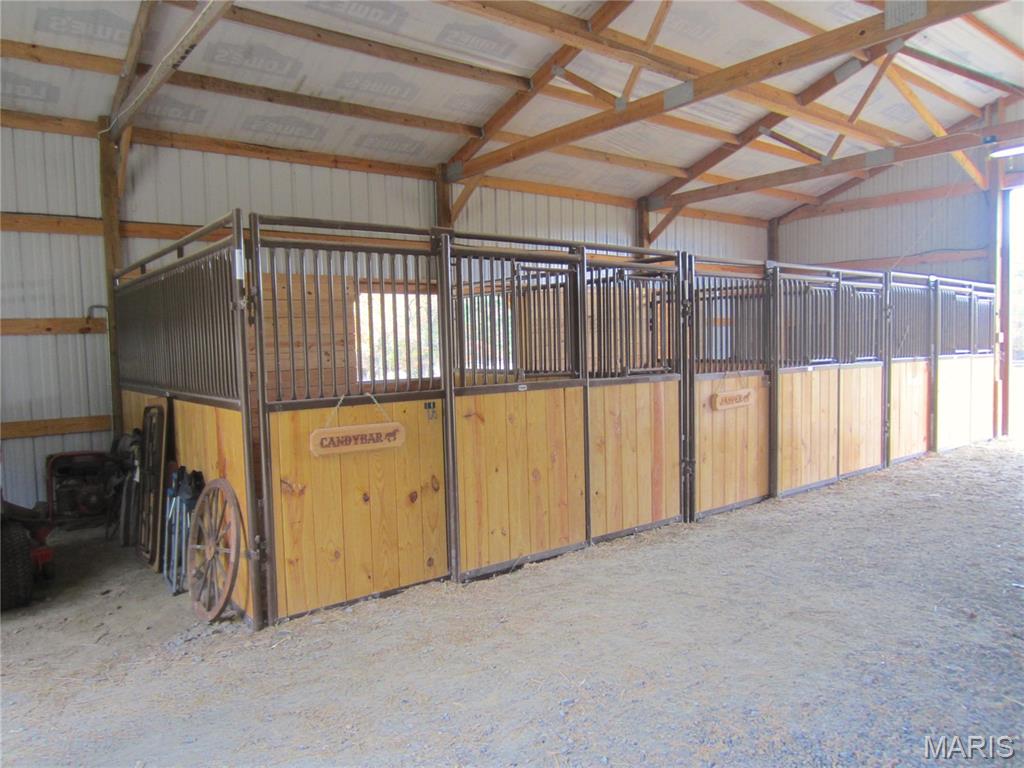 Martin Rd Farms - Farm