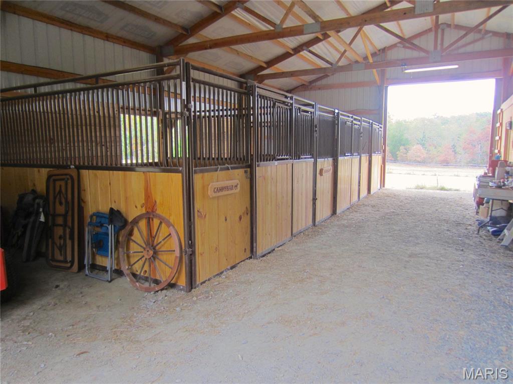 Martin Rd Farms - Farm