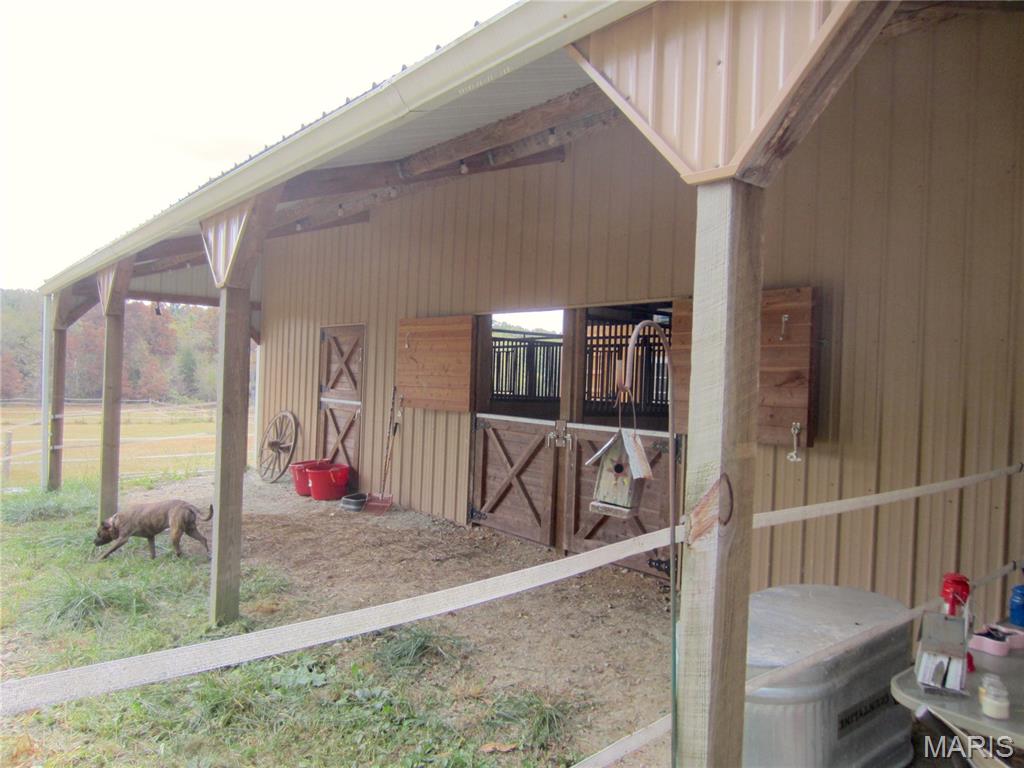 Martin Rd Farms - Farm