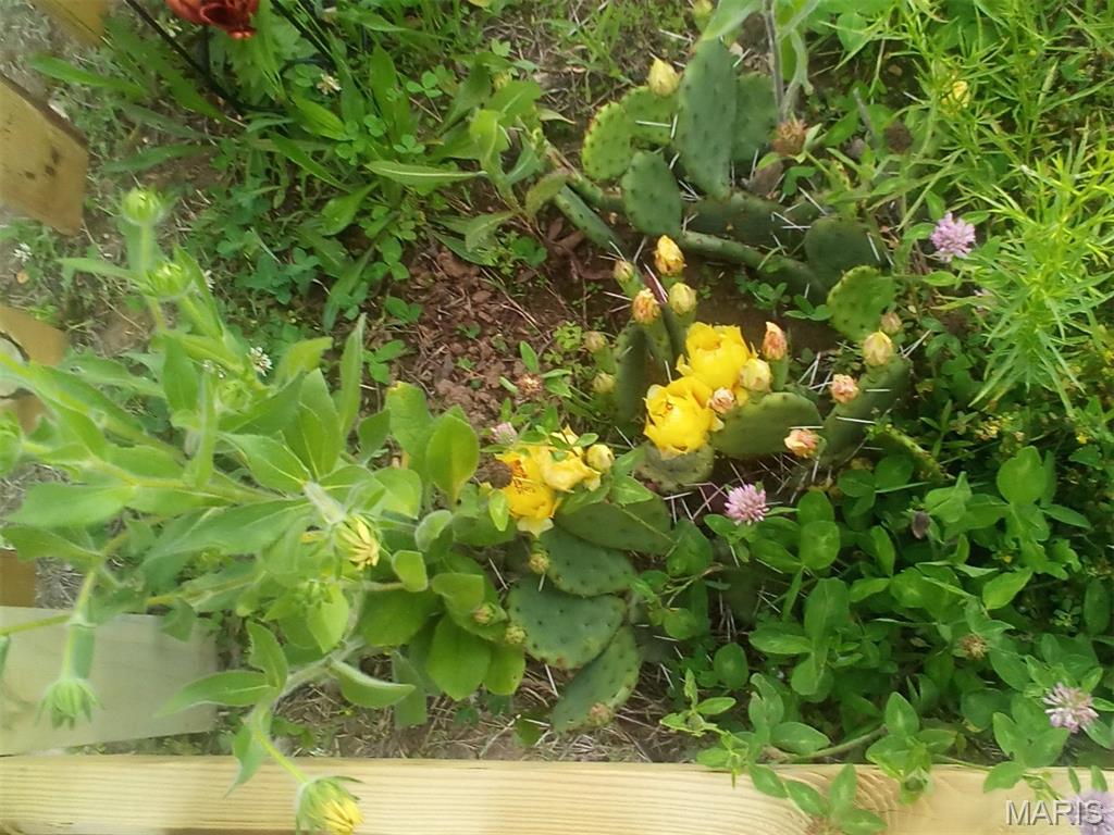 Villages/Brickyard 01 - Residential