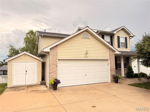 Photo of 203 Richmond Drive, Crystal City, MO 63019 (MLS # 26043761)