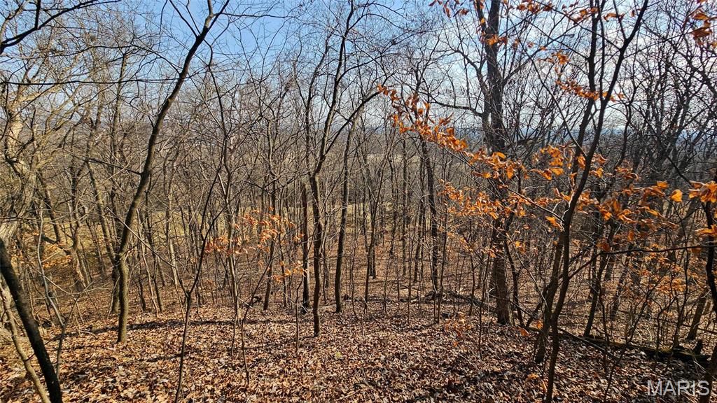 Newport Meadows future Dev - Farm