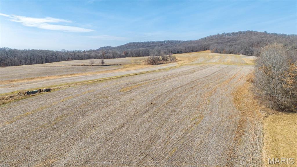 Newport Meadows future Dev - Farm