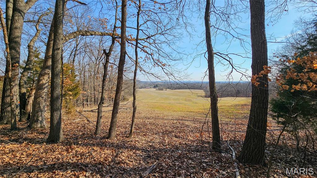 Newport Meadows future Dev - Farm
