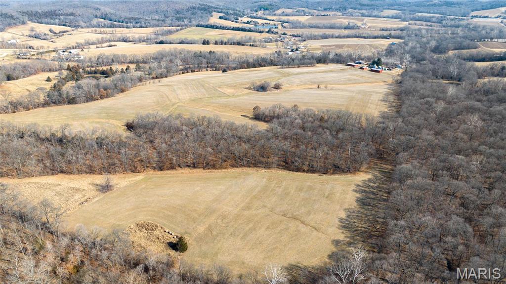 Newport Meadows future Dev - Farm