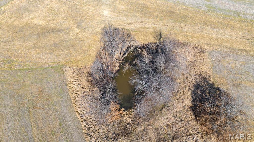 Newport Meadows future Dev - Farm